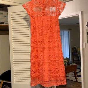 Coral Lace Mini Dress.